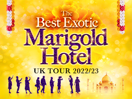 The Best Marigold Hotel artwork