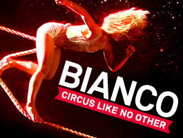 Bianco Circus Like No Other artwork