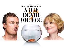 A Day In The Death Of Joe Egg artwork