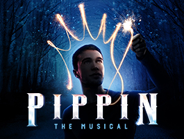 Pippin The Musical artwork