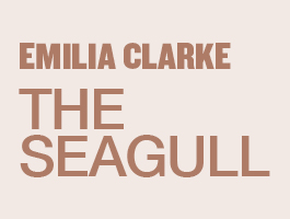 The Seagull artwork