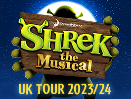 Shrek The Musical artwork